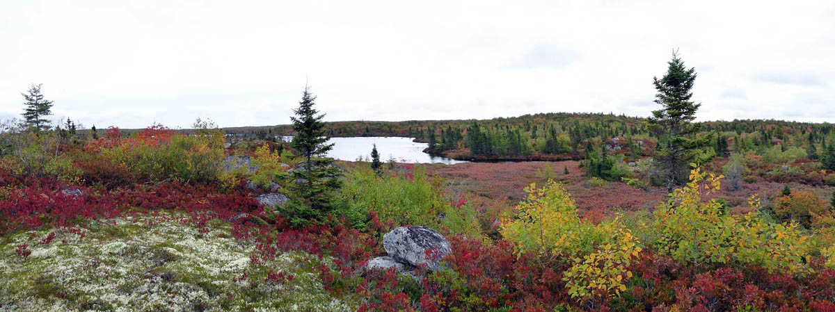Five Bridge Lakes Wilderness Area
