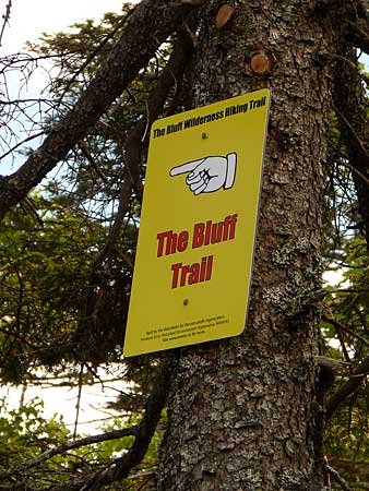 The Bluff Trail