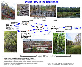 Diagram of Waterflow and wetlands in the Backlands