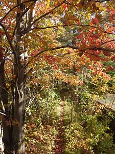 Halifax Rail Corridor