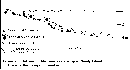 Fig 1 Sandy Island, Carriacou in 1996