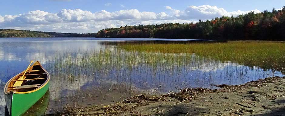 Blue-green algae - Government of Nova Scotia, Canada