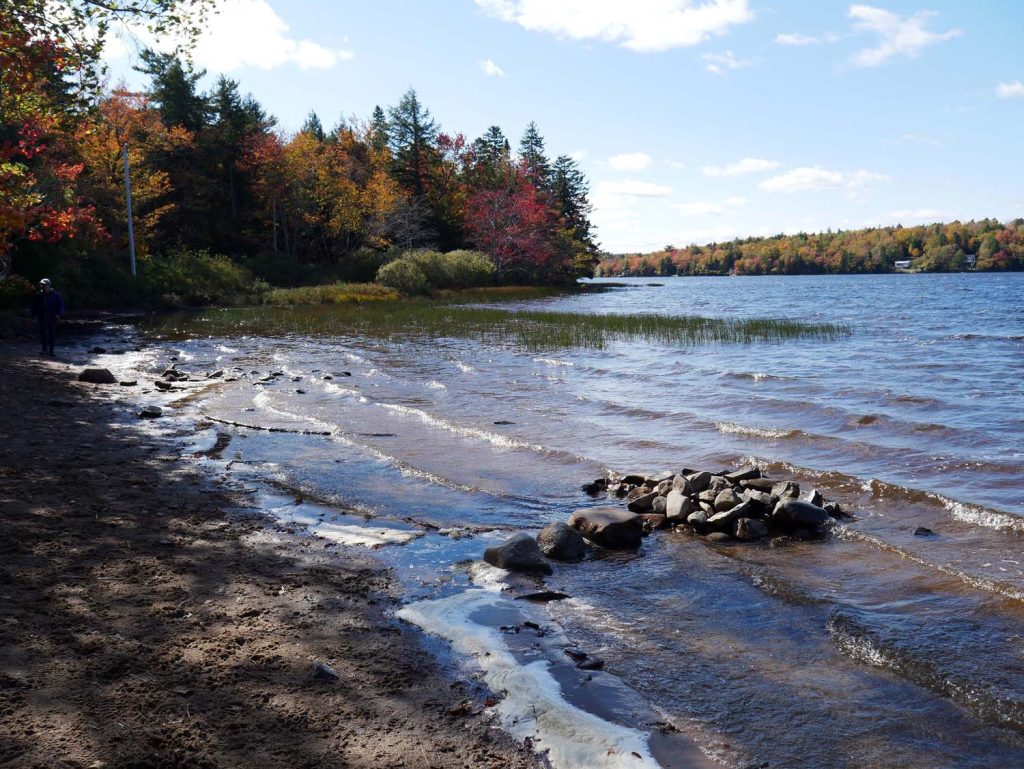 Happy Thanksgiving 2024 Sandy Lake & Environs (Bedford, Nova Scotia)