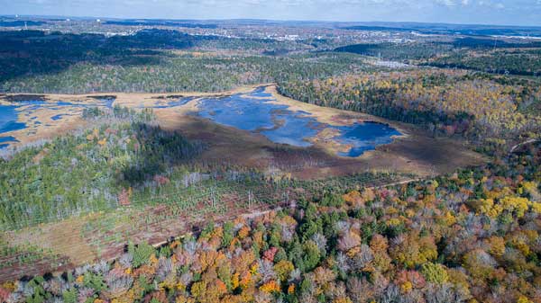 Marsh Lake