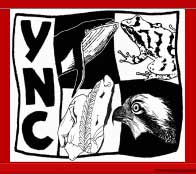 YNC logo
