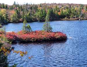 Pot Lake