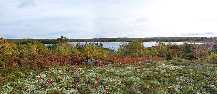 Bluff Trail