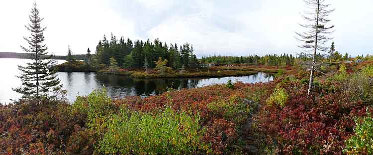 Bluff Trail