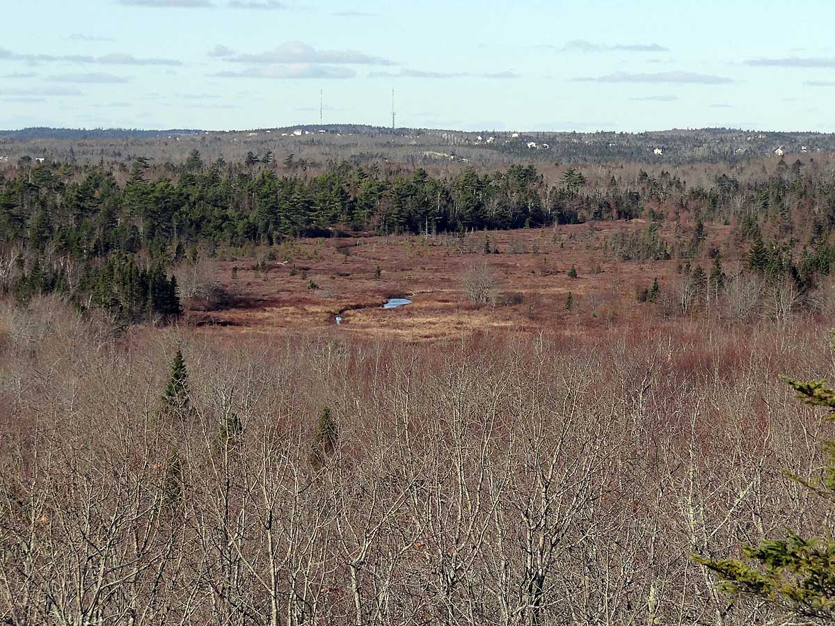 Cranberry Lake Lands