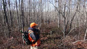 Cranberry Lake Lands