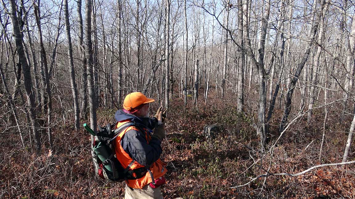 Cranberry Lake Lands