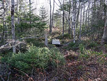 Cranberry Lake Lands