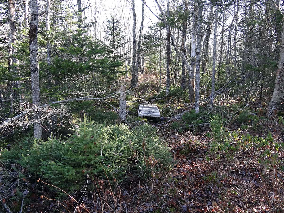 Cranberry Lake Lands
