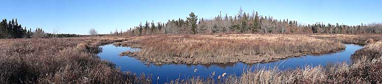 Cranberry Lake Lands