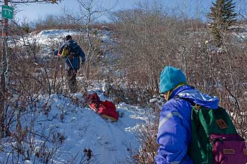 Cranberry Lake Lands