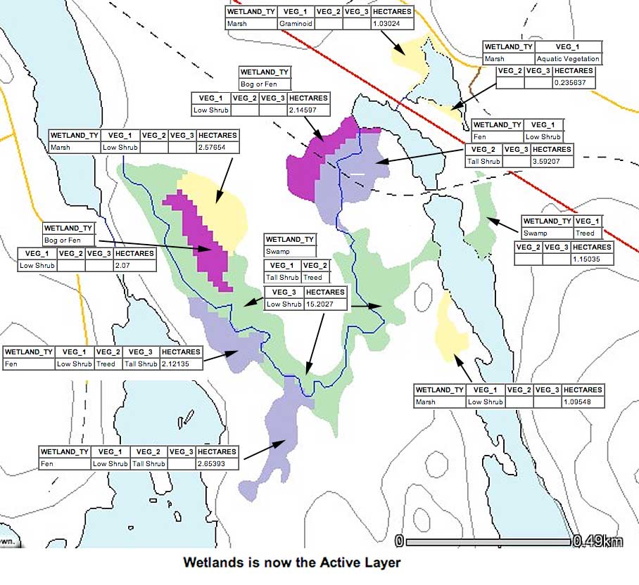 Cranberry Lake Properties