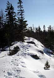 Cranberry Lake Lands