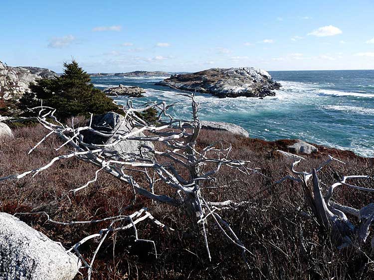 winter Coast