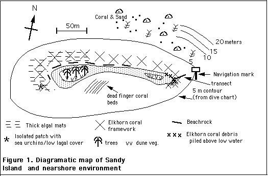 Fig 1 Sandy Island, Carriacou in 1996