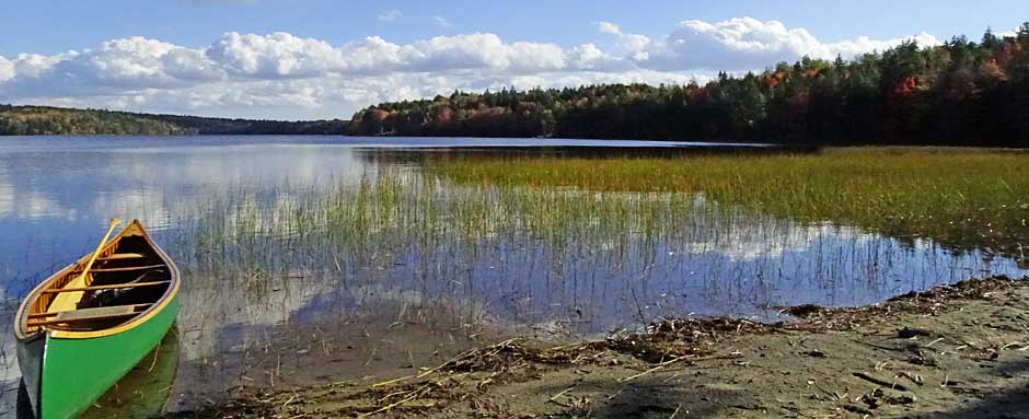 Forests and surface waters of Sandy Lake  & Environs (Bedford, Nova Scotia)